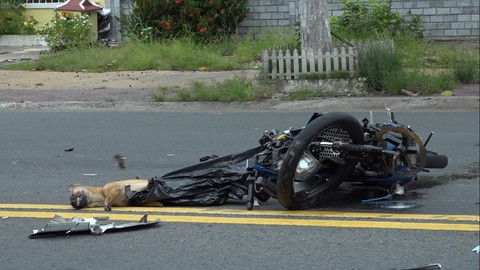 Tin trong nước - Vụ 2 thanh niên nằm bất động sau khi tông trực diện xe tải: Vì sao có 2 xác chó ở hiện trường?