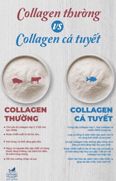 uong collagen ca tuyet ona global 3 1611634037 339 width640height10008a909d001a524f549a695c9002c830abgrande