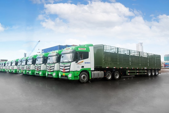 Kinh tế - THILOGI cung ứng dịch vụ vận chuyển gia súc chuyên nghiệp