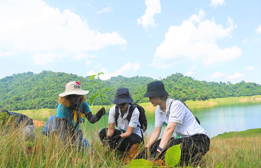 Cần biết - Manulife góp trồng 4.000 cây rừng, tiếp tục hành trình phủ xanh Việt Nam (Hình 2).