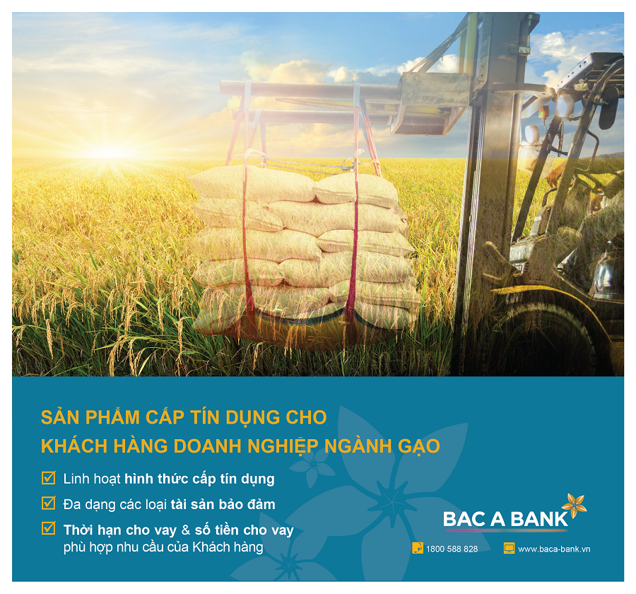Kinh tế - Doanh nghiệp ngành gạo đón “trợ lực” từ BAC A BANK