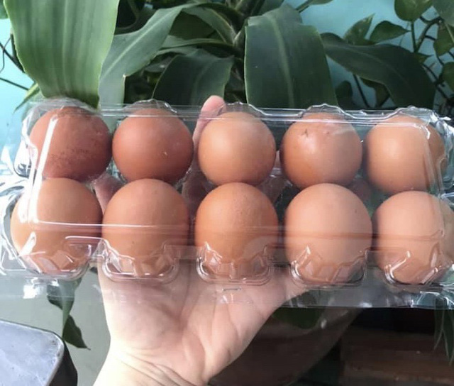 Tin trong nước - Lý giải việc trứng gà, vịt tăng giá tới 6.000 đồng/quả vẫn cháy hàng