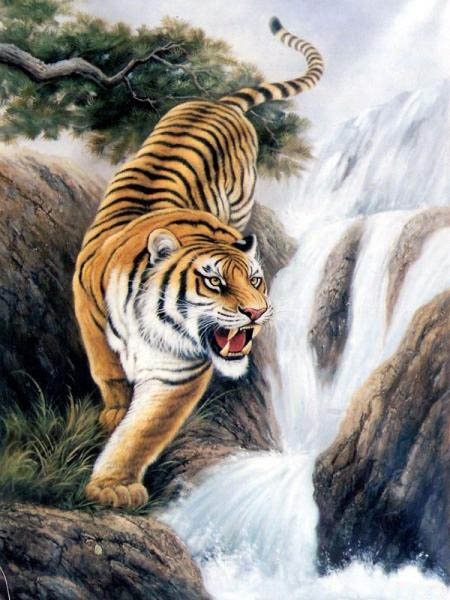 Con hổ là một trong những động vật hoang dã tuyệt vời nhất trên thế giới. Nó được biết đến với sức mạnh và tinh thần mạnh mẽ. Khi xem hình ảnh về con hổ, bạn sẽ cảm thấy như đang đứng trước một vẻ đẹp thiên nhiên vô cùng hoang dại và kỳ vĩ. Hãy đến và tìm hiểu thêm về sự độc đáo của con hổ qua hình ảnh này nhé!