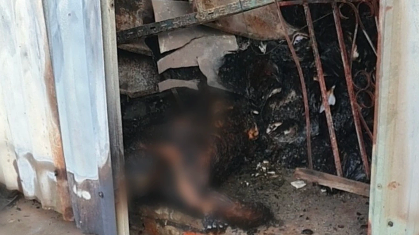 Tin trong nước - Lao vào dập lửa, tài xế ngân hàng bị điện giật rồi ngã vào đám cháy tử vong