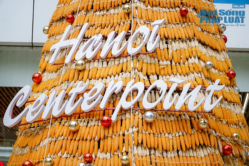 Tin trong nước - Cận cảnh cây thông Noel 'độc nhất vô nhị' được làm từ 8.000 bắp ngô tại Hà Nội (Hình 3).