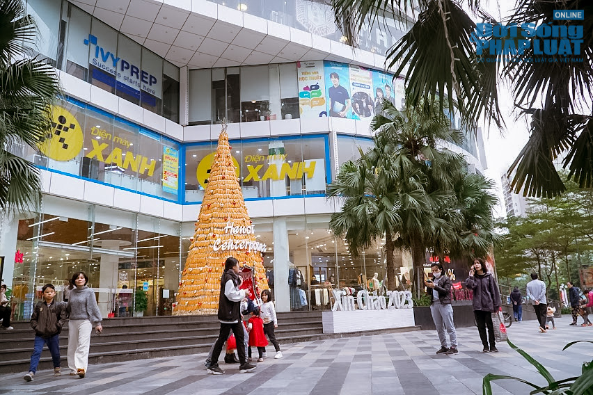 Tin trong nước - Cận cảnh cây thông Noel 'độc nhất vô nhị' được làm từ 8.000 bắp ngô tại Hà Nội (Hình 2).