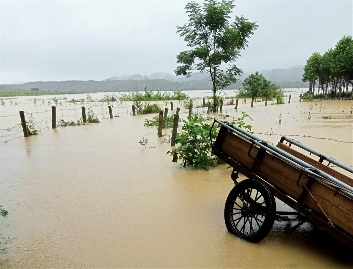 Tin trong nước - Thiệt hại do mưa lũ ở miền Trung: 1 người chết, 6 người bị thương