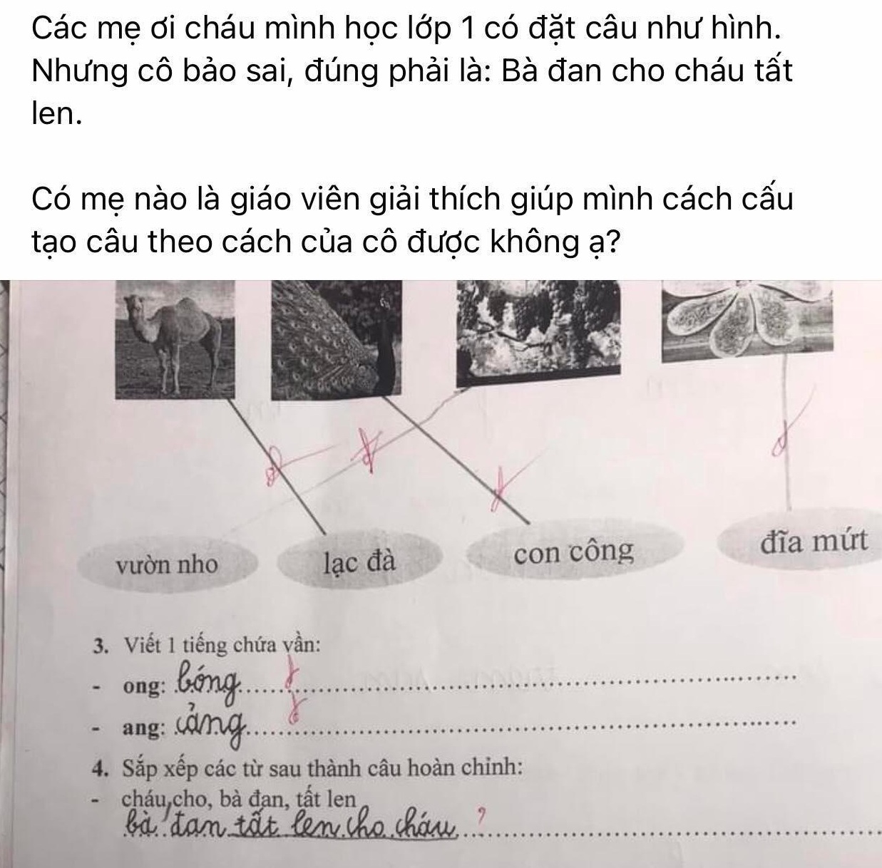 Giáo dục pháp luật - Tưởng bài tập tiếng Việt lớp 1 đơn giản, đáp án của giáo viên khiến phụ huynh hoang mang