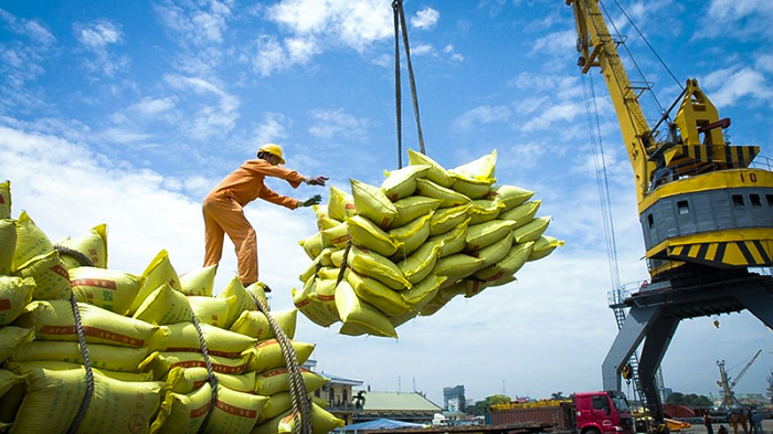 Thị trường - Chiến lược xuất khẩu gạo Việt Nam đến năm 2030: Giảm khối lượng, nâng cao chất lượng