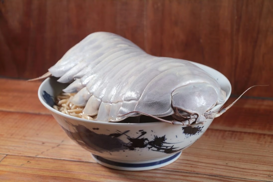 Ăn - Chơi - Món mì ramen bọ biển thu hút thực khách nhưng không phải ai cũng dám thử 