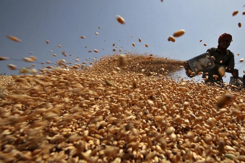 Tin thế giới - Ukraine, Nga đạt thỏa thuận về xuất khẩu ngũ cốc