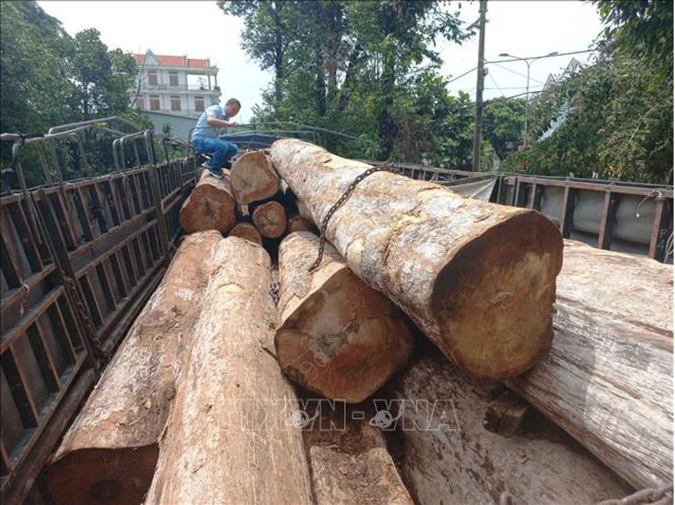 An ninh - Hình sự - Khởi tố 2 đối tượng vận chuyển trái phép hàng chục mét khối gỗ