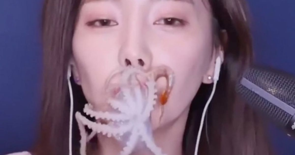 Video ASMR hải sản sống của Ssoyoung như thế nào?
