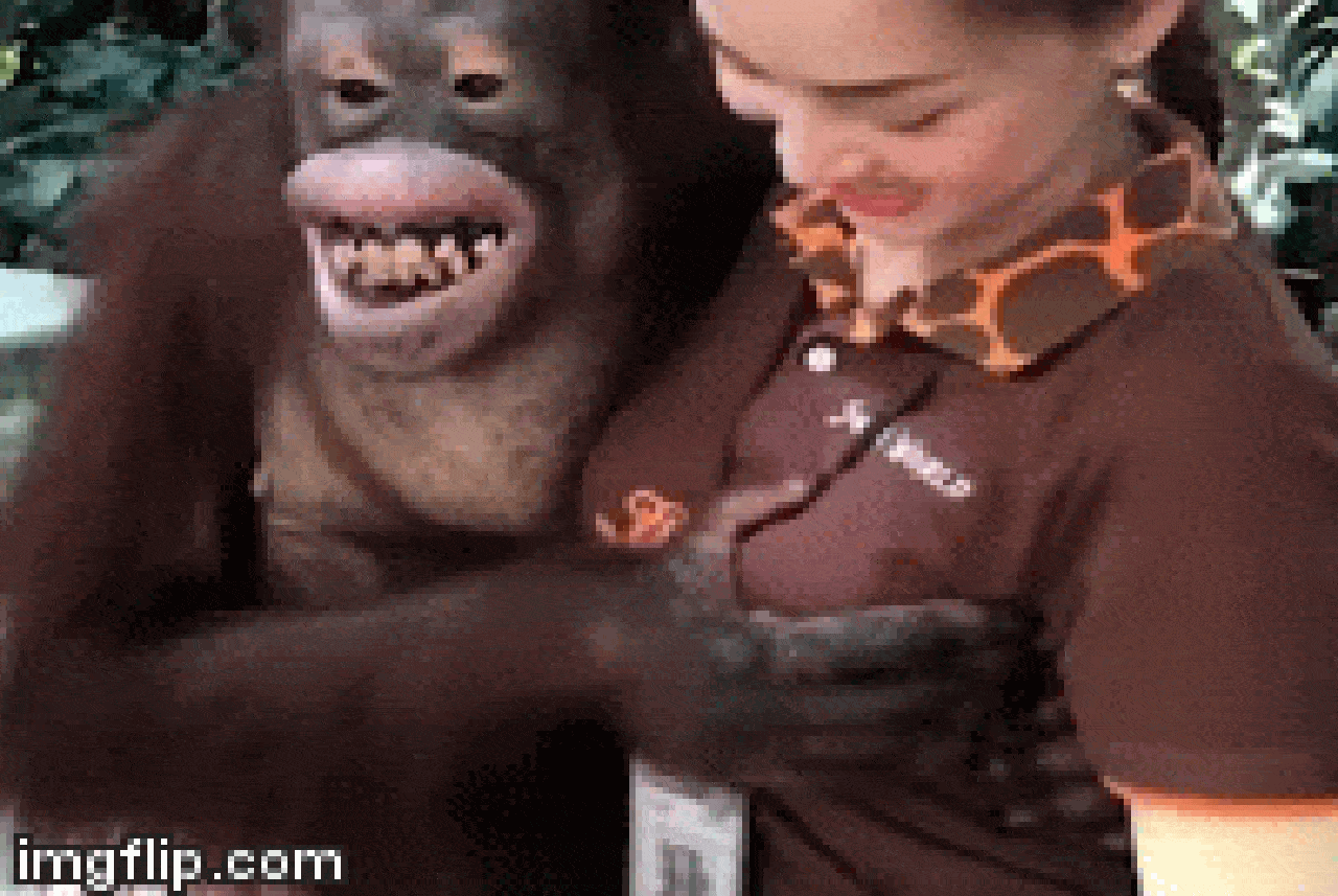 Video: Đười ươi “cười hớn hở” khi chạm ngực nữ nhân viên vườn thú