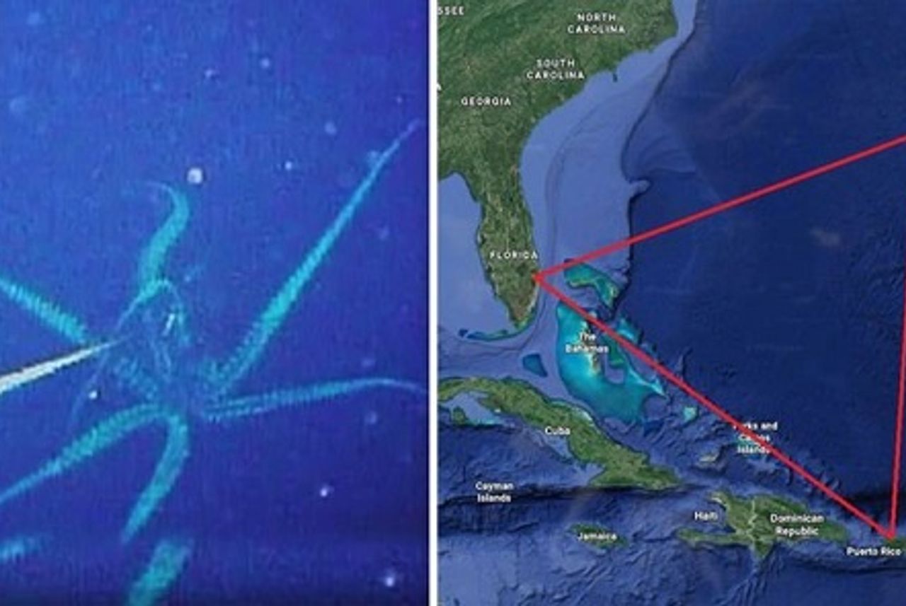 Bí ẩn Tam giác quỷ Bermuda: Khám phá những sinh vật kỳ bí khiến ...