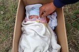 Tin trong nước - Phát hiện bé sơ sinh bị bỏ rơi ở vệ đường kèm lời nhắn nuôi giúp