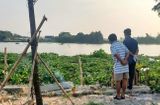 Tin trong nước - Tá hỏa phát hiện thi thể trùm kín đầu, lẫn trong đám lục bình trên sông Sài Gòn