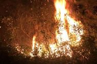 Tin trong nước - Hà Nội: Huy động hơn 1.100 người dập tắt cháy rừng cạnh trường bắn Sóc Sơn