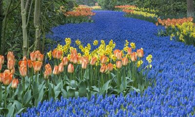 Chiêm ngưỡng 10 vườn hoa đẹp nhất thế giới 