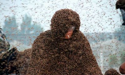Kỳ lạ người đàn ông có hơn 1 triệu con ong bám vào người
