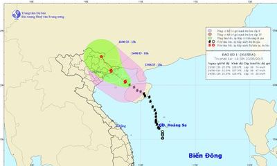 Cơn bão số 1 đang tiến sát Quảng Ninh, gió giật cấp 10