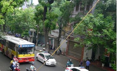 Cành cây bị gãy rơi trúng người đi đường tại Hà Nội