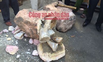 Sừng tê giác, ngà voi trong đá cẩm thạch cập cảng Tiên Sa