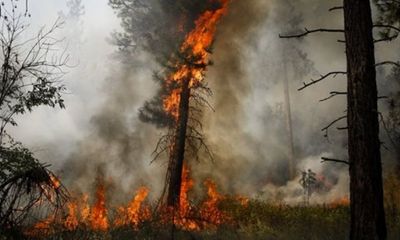 3 lính cứu hỏa đã thiệt mạng trong vụ cháy rừng ở Mỹ