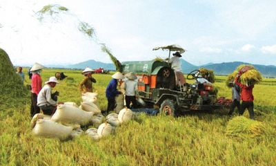 Đẩy mạnh tái cơ cấu ngành nông nghiệp 