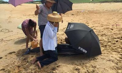 Hình ảnh người dân TQ cứu cá heo bị mắc kẹt trên cát