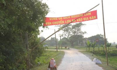 Nghệ An: Báo động dịch tai xanh ở lợn bùng phát