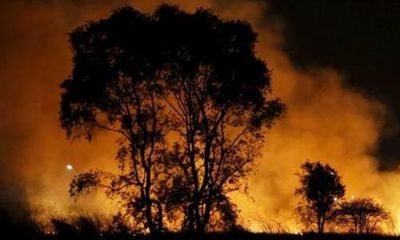 Indonesia: Cháy rừng trở thành vấn đề nghiêm trọng cấp quốc gia