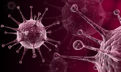 Phương pháp dùng virus lây qua đường tình dục để chữa ung thư da 