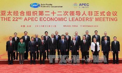  Việt Nam phát huy vai trò tích cực trong APEC 