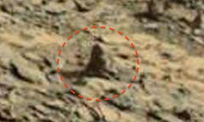 Phát hiện hình ảnh con khỉ ngồi trên sao Hỏa?