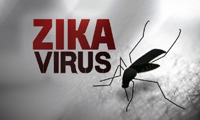 Việt Nam đã phát hiện hai ca nhiễm virus Zika đầu tiên 