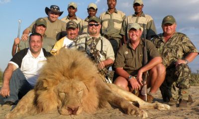 Sự thật đau lòng tại những khu bảo tồn sư tử ở Nam Phi