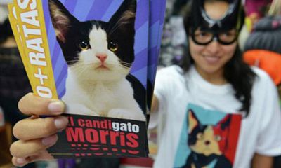 Mexico: Mèo đòi miễn thuế