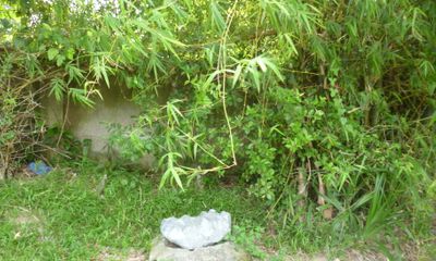 Ly kỳ chuyện hòn đá biết chữa bệnh cho phụ nữ và trẻ em gây xôn xao ở Hà Tĩnh