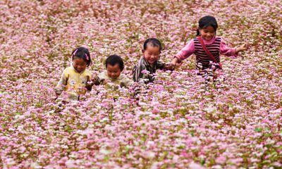 Lên lịch phượt cùng những mùa hoa tuyệt đẹp ở Việt Nam