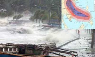 Bài thơ về siêu bão Haiyan: Cảm động rơi nước mắt