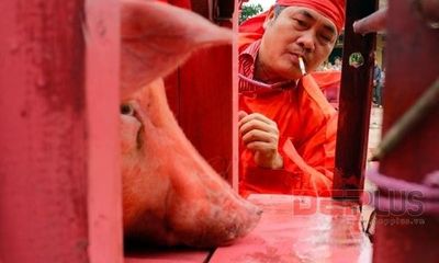 Rùng mình lễ hội chém lợn gây tranh cãi ở Bắc Ninh