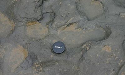  Tìm thấy dấu chân người có niên đại 800.000 năm
