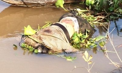 Phát hiện xác chết đang phân hủy trôi sông Tiền