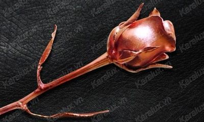 Quà độc, lạ ngày 8/3: Hoa hồng màu chocolate giá 6 triệu đồng