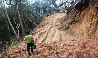 Phá rừng ở Khu BTTN Ngọc Linh: Lòng vòng truy trách nhiệm