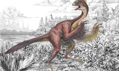 Loài khủng long có đặc điểm giống chim