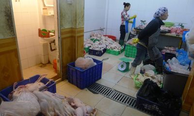 Hà Nội: Gà không kiểm dịch vẫn có dấu vào siêu thị