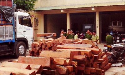 Gia Lai: Vẫn nóng tình trạng vận chuyển gỗ lậu