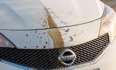 Nissan tuyên bố sắp đến “ngày tàn của dịch vụ rửa xe”